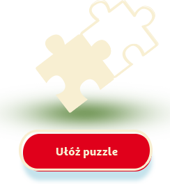 Bóbr Julek - Puzzle